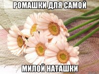 ромашки для самой милой наташки