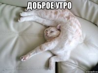 доброе утро 