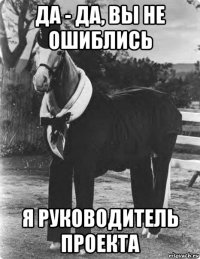 да - да, вы не ошиблись я руководитель проекта