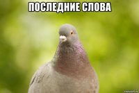 последние слова 