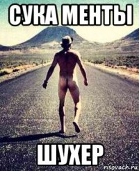 сука менты шухер