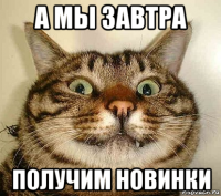 а мы завтра получим новинки