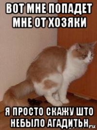 вот мне попадет мне от хозяки я просто скажу што небыло агадитьн