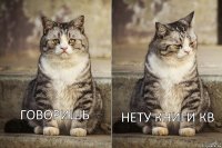 говоришь нету книги кв