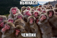 ньюкасл чемпик