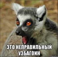 это неправильный узбагоин