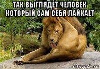 так выглядет человек который сам себя лайкает 