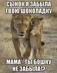 сынок я забыла твою шоколадку мама - ты бошку не забыла!?
