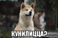  кунилицца?