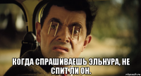  когда спрашиваешь эльнура, не спит ли он.