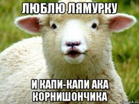 люблю лямурку и капи-капи ака корнишончика