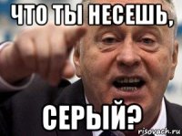 что ты несешь, серый?