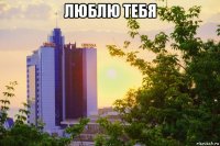 люблю тебя 