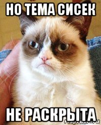 но тема сисек не раскрыта