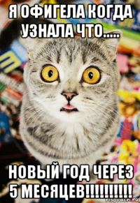 я офигела когда узнала что..... новый год через 5 месяцев!!!!!!!!!!