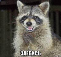  заебись