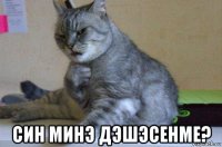  син минэ дэшэсенме?