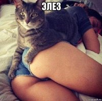 элез 