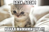 бози , бози ! какая мимимишка !!!
