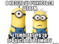 в козельці очікується шторм і температура 20 градусів по реомюру