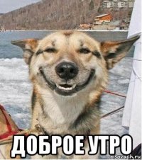  доброе утро
