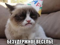  безудержное веселье