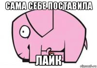 сама себе поставила лайк