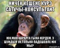 ничек кешене курэ сатучы-консультант юк,мин карарга гына кердем. э шундый ук,только падешевле юк мы?