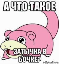 а что такое затычка в бочке?