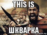 this is шкварка
