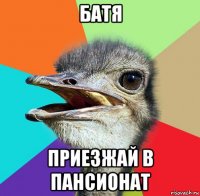 батя приезжай в пансионат