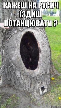 кажеш на русич їздиш потанцювати ? 
