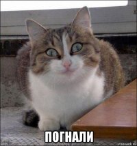  погнали