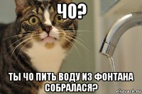 чо? ты чо пить воду из фонтана собралася?