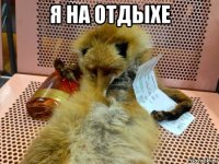 я на отдыхе 