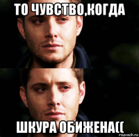 то чувство,когда шкура обижена((