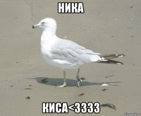 ника киса<3333