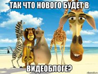 так что нового будет в видеоблоге?
