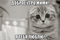 доброе утро,мими! я тебя люблю!