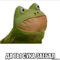  да ты сука заебал