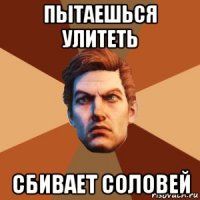 пытаешься улитеть сбивает соловей