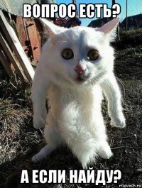 вопрос есть? а если найду?