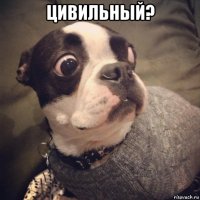 цивильный? 