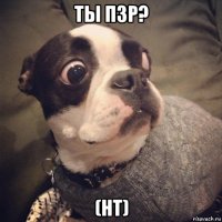 ты пзр? (нт)