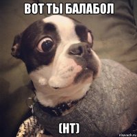 вот ты балабол (нт)