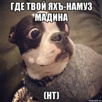где твой яхъ-намуз мадина (нт)