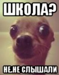 школа? не.не слышали