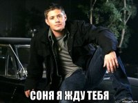  соня я жду тебя