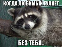 когда любимый гуляет без тебя..