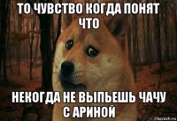 то чувство когда понят что некогда не выпьешь чачу с ариной